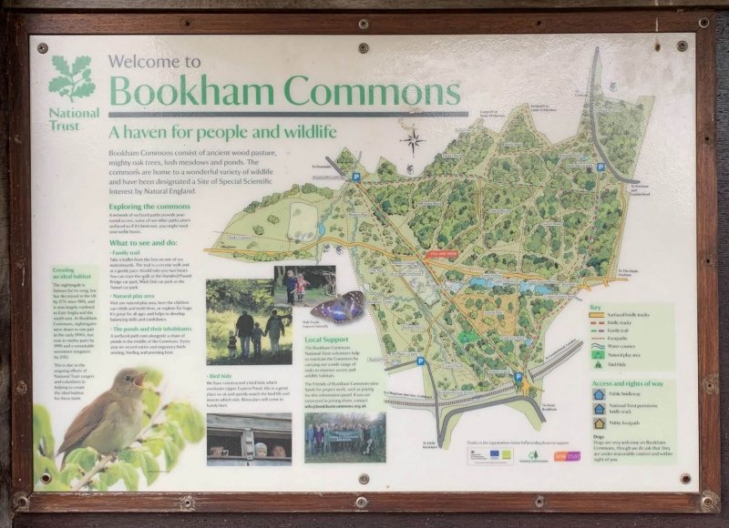 Detailed-map-of-Bookham-commons-walks-and-ponds