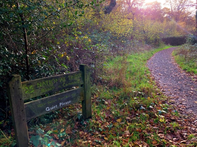 approach-to-bird-hide-bookham-commons