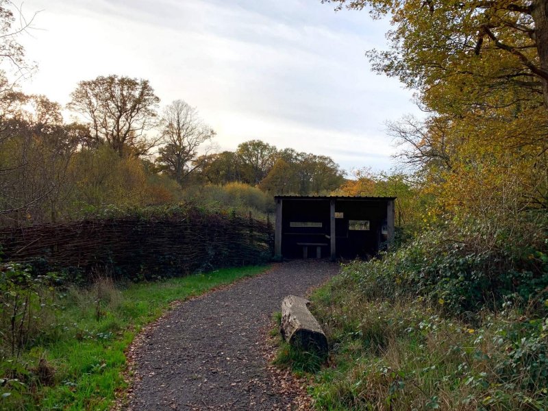 bird-hide-at-bookham-commons