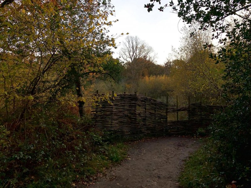 bird-viewing-point-bookham-commons