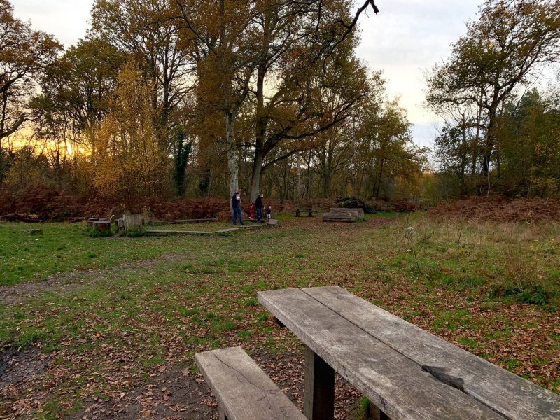 childrens-play-and-picnic-area-bookham-commons