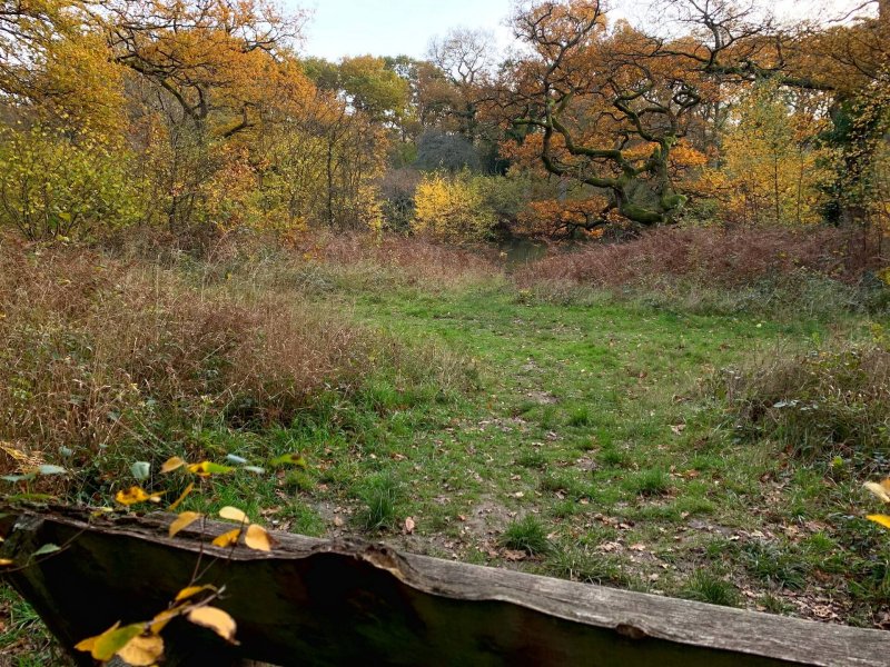 view-of-pond-from-picnic-bench-bookham-commons