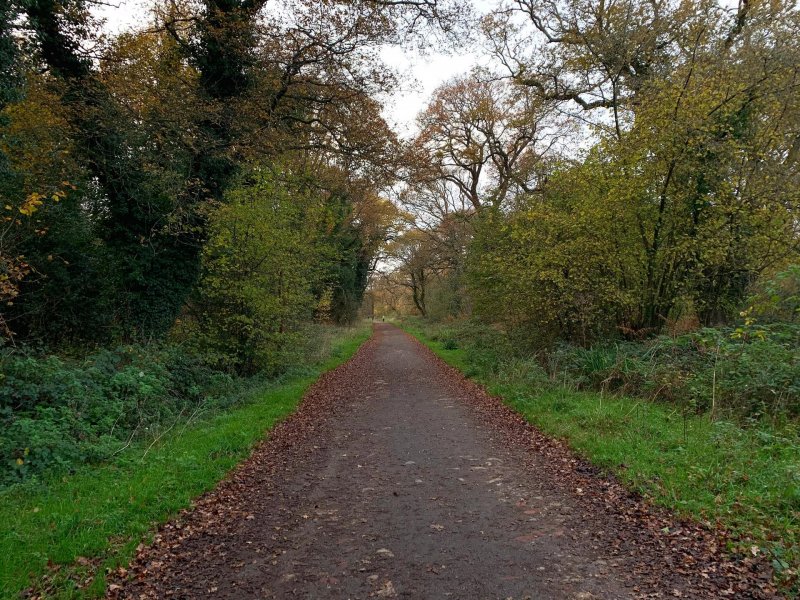 walk-back-to-tunnel-car-park-bookham-commons-2