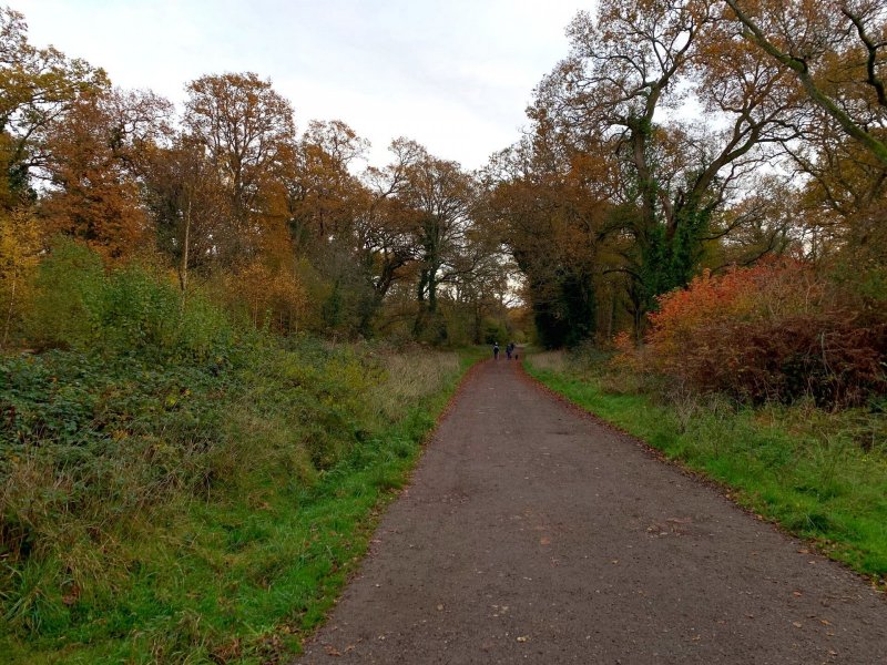 walk-back-to-tunnel-car-park-bookham-commons