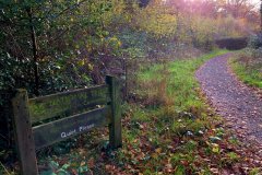 approach-to-bird-hide-bookham-commons