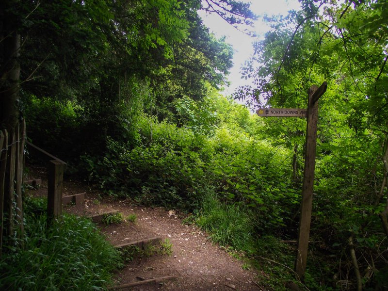 Box-hill-path-northdown-ways