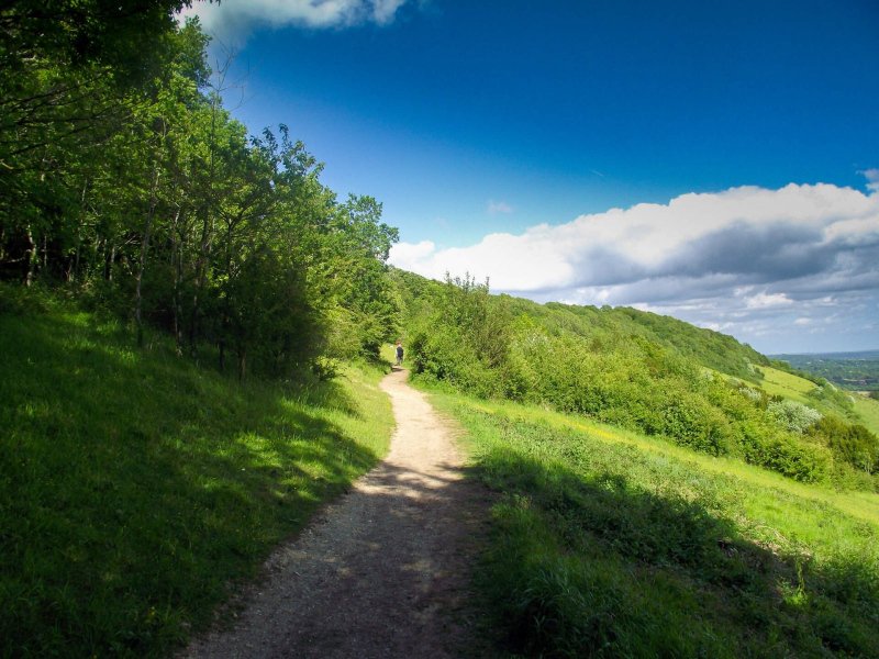 Box-hill-path-sunny-day-hills