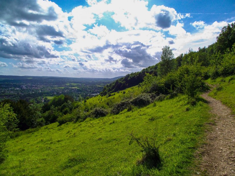 Box-hill-path-with-view-sunny-day