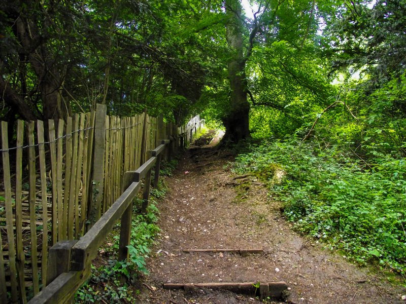 Box-hill-steps-walk