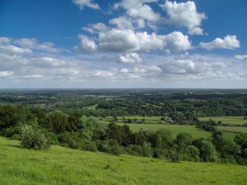 Box-hill-sunny-day-view