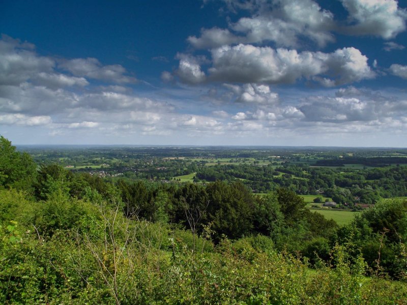 Box-hill-view-over-surrey-sunny-day