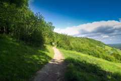 Box-hill-path-sunny-day-hills