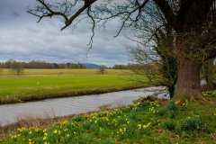 riverside-near-attingham-park
