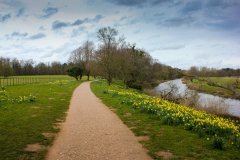 walk-in-attingham-park-grounds