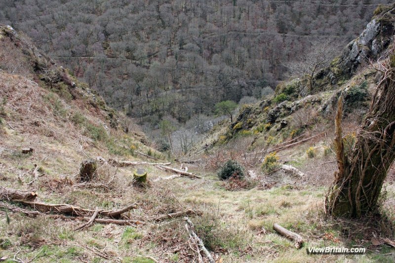 Views-from-walk-near-Castle-Drogo
