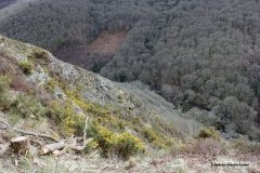 Steep-hills-near-Castle-Drogo