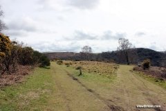 Walk-around-Castle-Drogo-view-across-the-hills