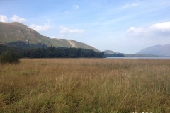 Beautiful-shorelines-of-Derwentwater-Lake-Keswick