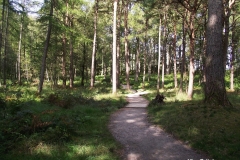 Derwentwater-Walk-around-the-Lake-Keswick-Lake-District
