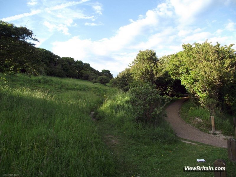 Chalk-Grasslands-of-White-Cliffs-of-Dover-England