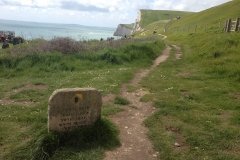 coastal-path-near-durdle-door-beach-min
