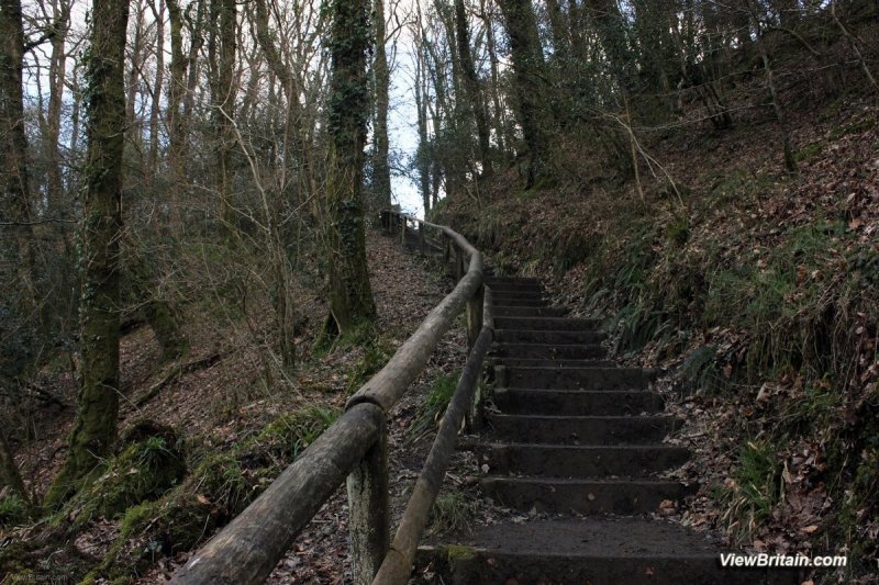 1_Stairs-on-the-Lydford-Gorge-trail