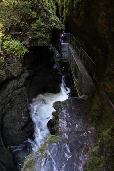 1_path-leading-to-devils-couldron-at-lydford-gorge