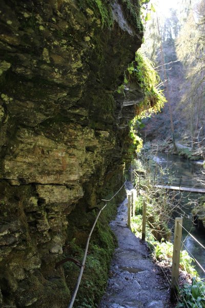 1_paths-amongst-the-gorge-at-lydford-gorge-2