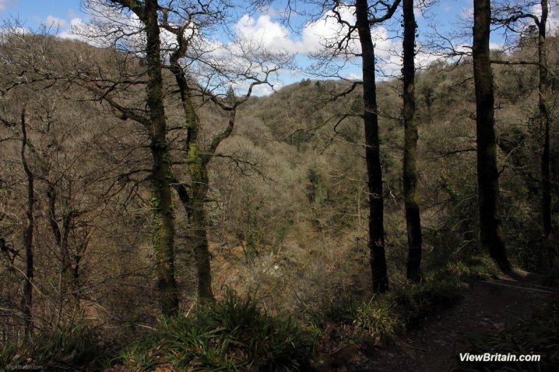 View-across-Lydford-Gordge