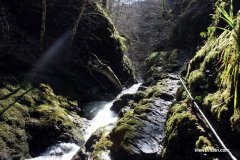 1_Steep-and-narrow-paths-in-Lydford-Gorge