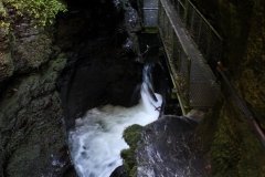 1_path-leading-to-devils-couldron-at-lydford-gorge