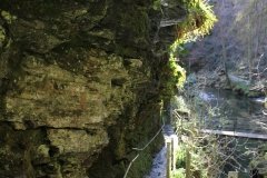 1_paths-amongst-the-gorge-at-lydford-gorge-2