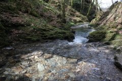 1_river-lyd-at-lydford-gorge