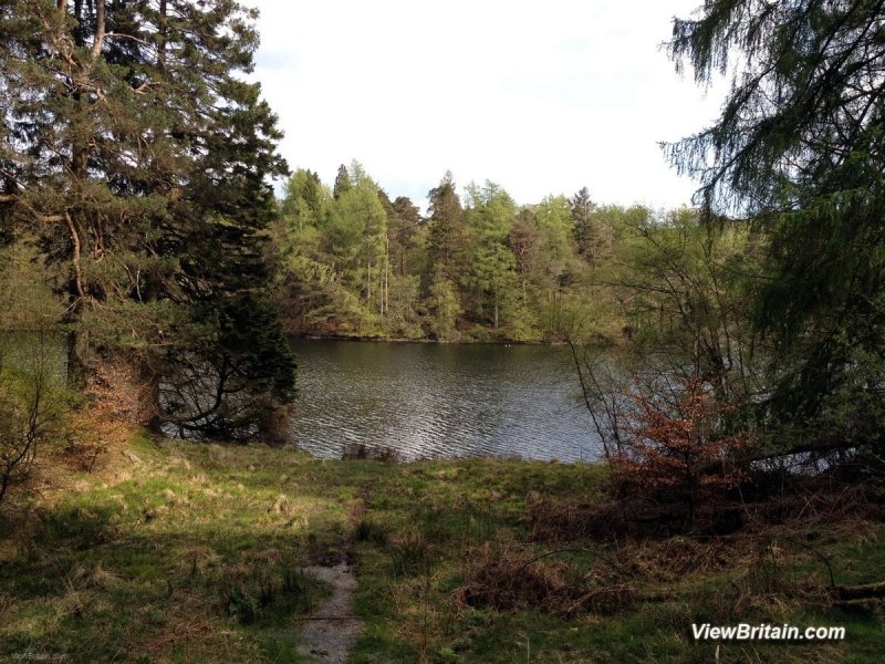 photo-of-Tarn-Hows-Lake-Lake-District