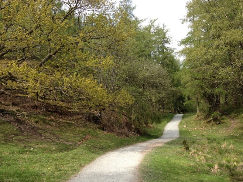 tarn-hows-lake-circular-path