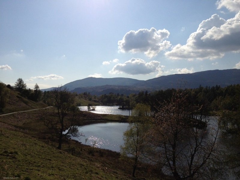 view-of-tarn-hows-lake-from-higher-ground-2