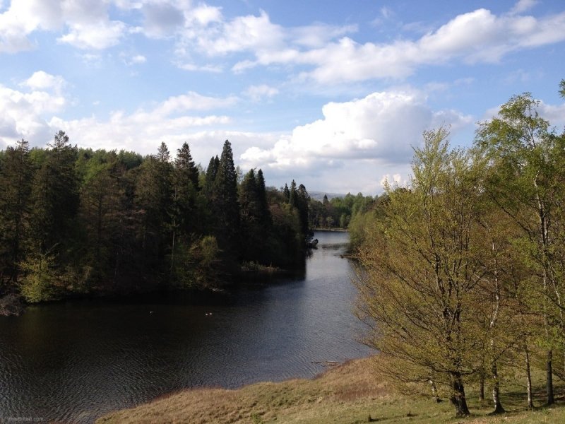view-of-tarn-hows-lake-from-higher-ground