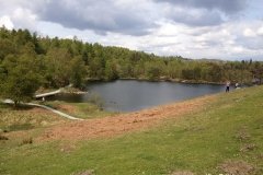 Tarn-Hows-lake-Lake-District-England