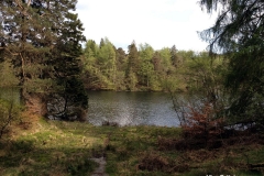 photo-of-Tarn-Hows-Lake-Lake-District
