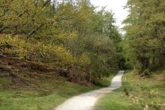tarn-hows-lake-circular-path