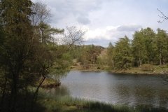 tarn-hows-lake-view