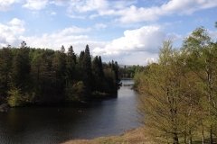 view-of-tarn-hows-lake-from-higher-ground