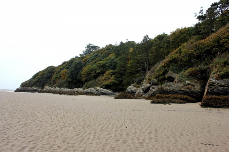 portmeirion-estuary-2