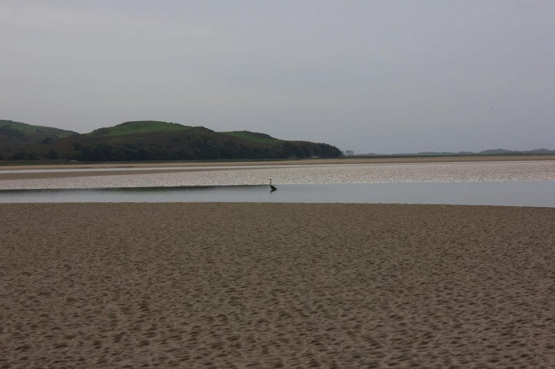 portmeirion-estuary-4