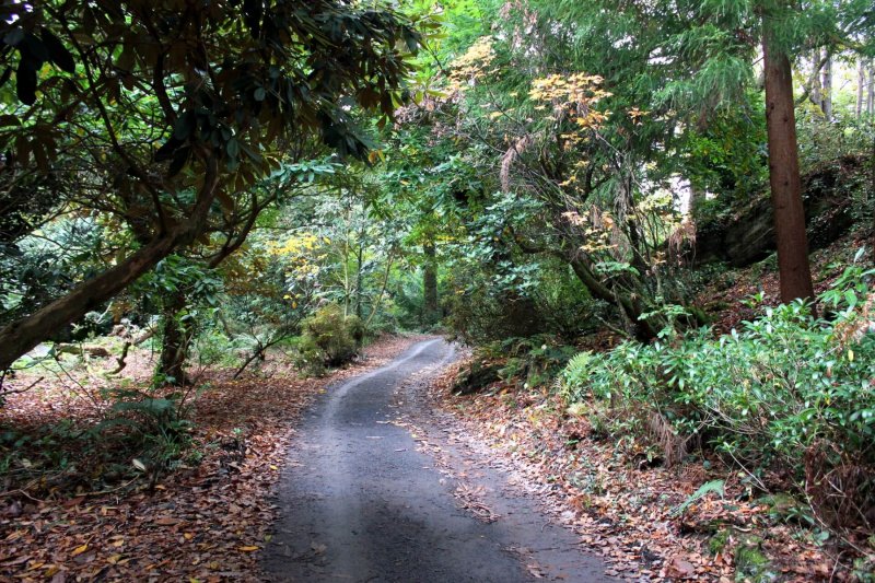 portmeirion-walks