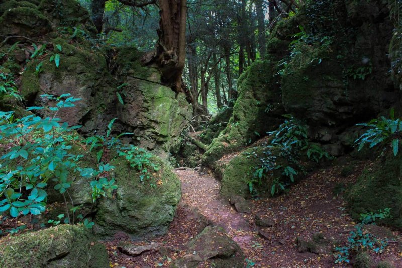 Puzzlewood-narrow-walkways-between-rocks