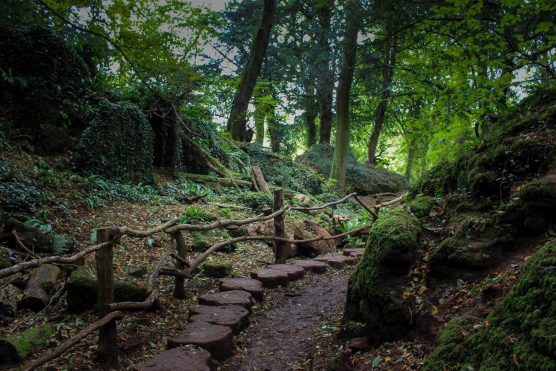 Puzzlewood-paths-3