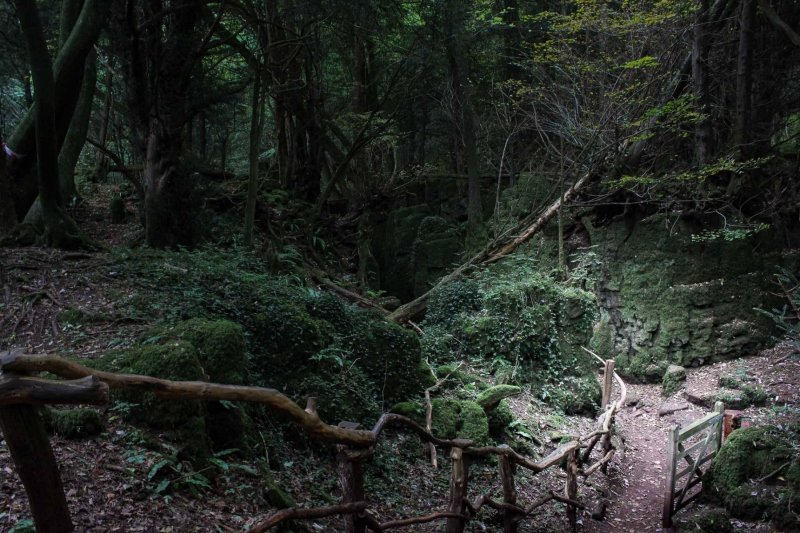Puzzlewood-sloping-path