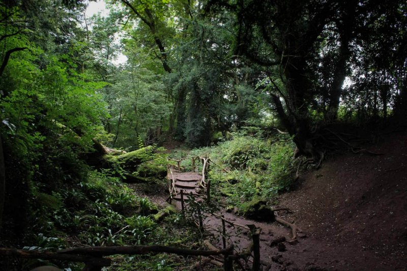 Puzzlewood-walk-4