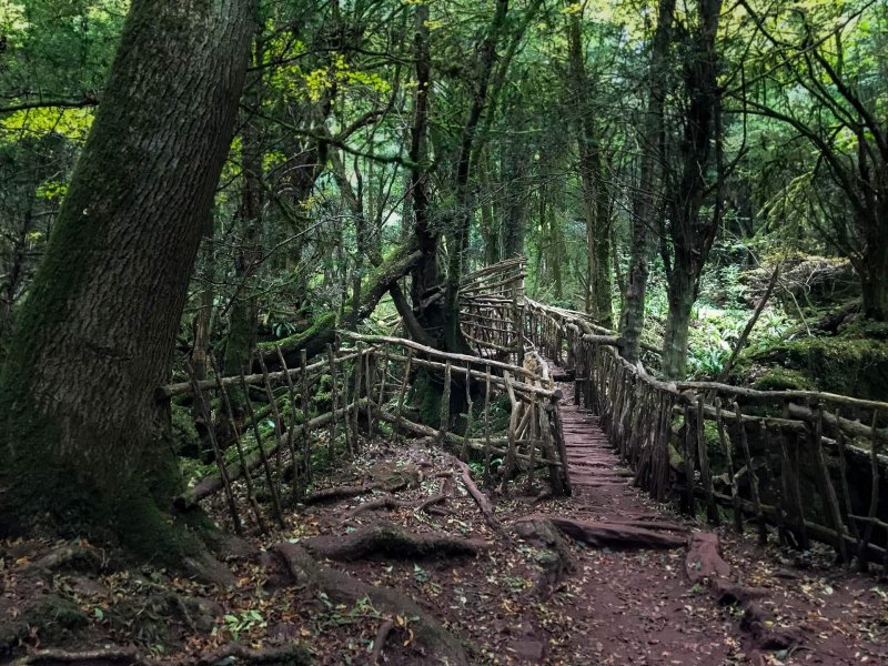 Puzzlewood-wooden-bridge